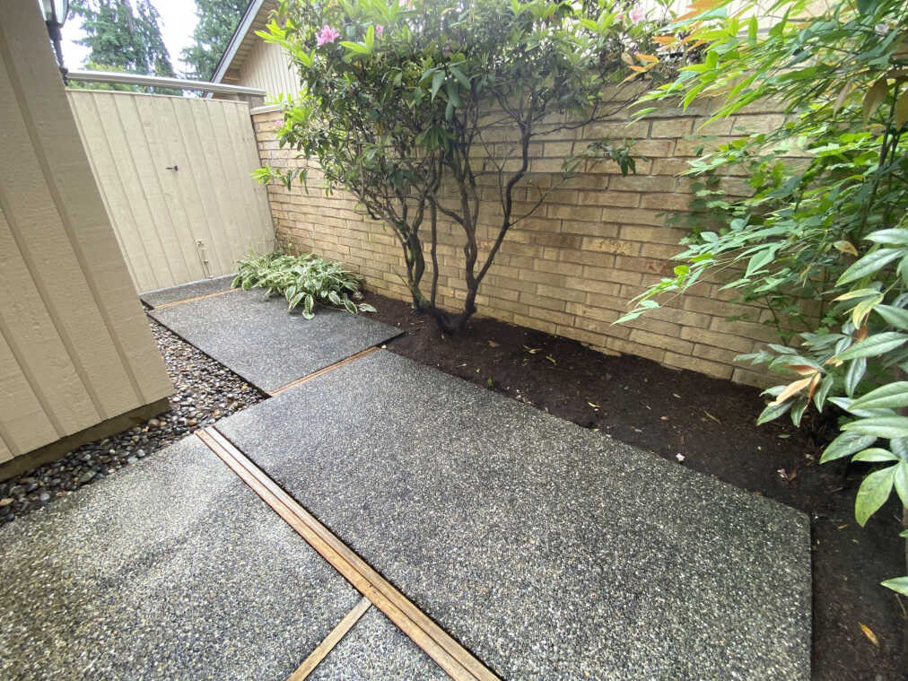 Farewell to Fallen Foliage