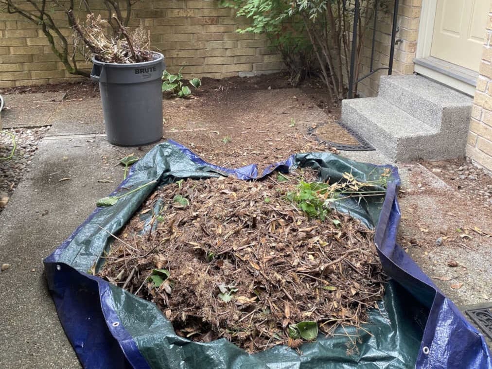 Rotten Leaves, Come on Down!