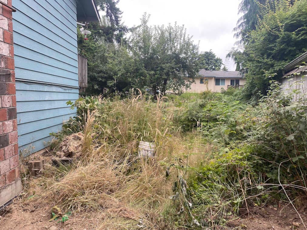 When Weeds Throw a Party