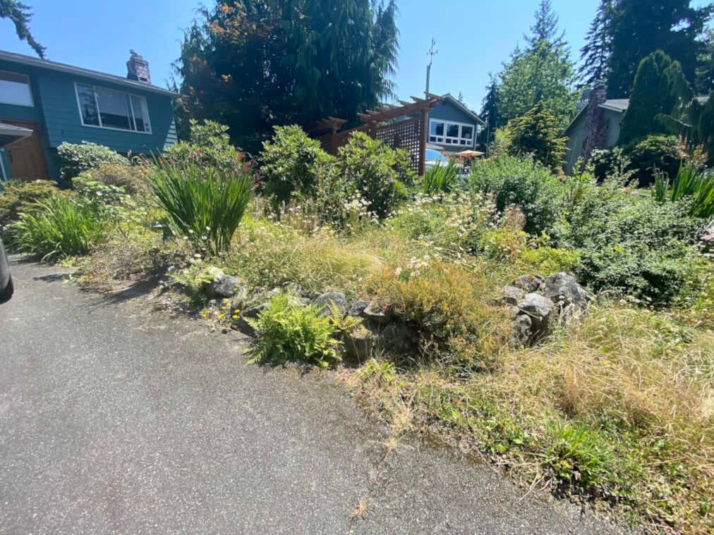 Forgotten tranquility