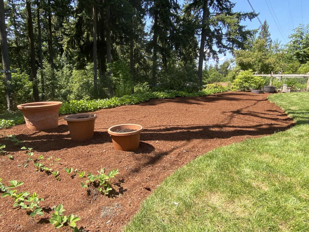 mulch's serene takeover