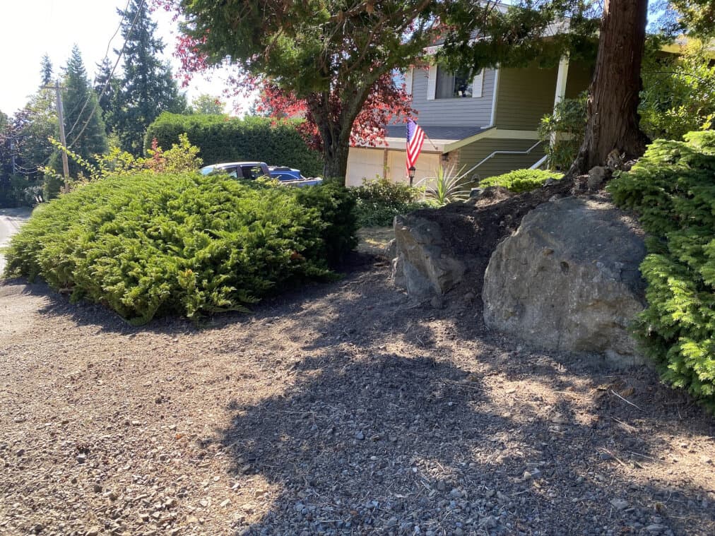 Renewed shrubs, stones